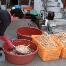 인삼농장 이미지