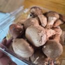 연호농장 이미지