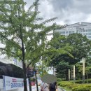 남수원한의원 이미지