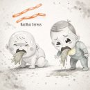 대상유통 | 압타밀 독소(세레울리드) 리콜 총정리 – 대상 제품, 국내 유통, 대체 분유 판단 기준