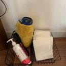 오늘하루 애견 동반 스파펜션 이미지