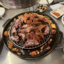 홈플러스작전점 | 마포갈매기 작전점 내돈내산 후기/ 무한리필 마포갈매기