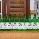 삼호짱뚱이 이미지