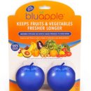 블루애플 이미지