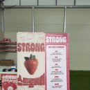 동이농장 | 전북 완주 스트롱베리 딸기농장 아이들과 함께한 달콤한 하루 체험 후기