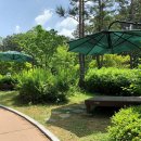 행복근린공원 이미지