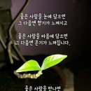 ＜940회 회계보고＞영인산자연휴양림,온양온천 이미지