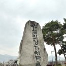 기차마을가든 | 남원 여행 기차좋아하는 아이 필수 여행 코스 곡성 섬진강 기차마을 방문팁 후기