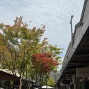 [경기 파주] 예랑이의 웨딩촬영용 양복 신세계프리미엄 아울렛 지이크SIEG 구매후기