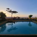 트래블지2 이미지