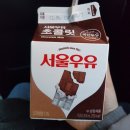포항 1박 2일 여행-동백꽃 필 무렵 촬영지 구룡포 일본인 가옥거리, 카페 어스피스, 호미곶, 연오랑테마...