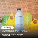 고창 상하농원 무료체험이 있다고? 매일유업 상하공장 견학