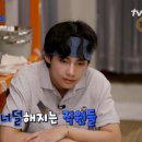 서진 티스토리