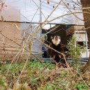 자림농장 이미지