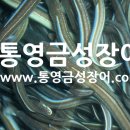 통영장어 - 강서구 명지오션시티4로 94 | 통영장어
