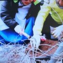 대명약초 네이버블로그