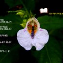 사계평안