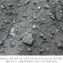 비케이친환경 이미지