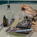 팁씨