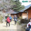 섬진다원 네이버블로그
