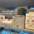 대전 유성 카페 추천 ‘모찌와’ 방문 후기｜모찌 디저트 맛집 인정 🤍