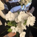 언누아르 | 목포 캔들레진 및 부케기프트 전문공방추천 언누아르 내돈내산 후기