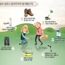 벌초나라