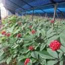 지평선한의원 이미지