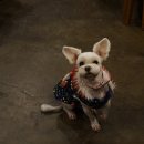 구름이 샵 이미지