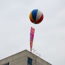 기장미역다시마축제 이미지