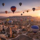 의료법인성모요양병원 | 서울요양병원양도 강남3구 전철역에 위치한 저렴한 월세의 요양병원 양도 및 임대 물건