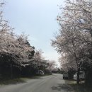 보성리 마을회관 이미지