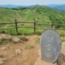 [여행] 강원도 정선 민둥산