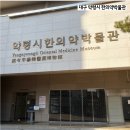 한의약거리 | 대구 약령시 한의약박물관 주차 관람 후기! 동성로 가볼만한 곳 추천