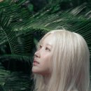 Love Tree(러브트리) 이미지