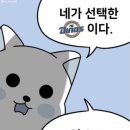 라잇나우 이미지