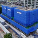 세교동사무소 앞 이미지