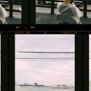 그린라이트