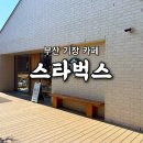 스타벅스기장임랑점 | [공지] 부산 기장 오션뷰 카페 스타벅스 기장임랑원점 방문 후기