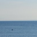 제주아이노스 이미지