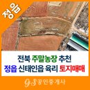 금싸라기공인중개사사무소 | [정읍부동산] 지적도상 맹지? 실제론 차 들어가는 금싸라기 땅, 신태인 실속 매물