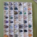 솔향수목원(방문자쉼터) 이미지