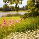 호숫가의 풍경 이미지