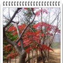 포스코백운산수련원 이미지