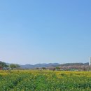 무지개삼성약국 이미지