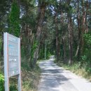 모산봉등산로 이미지