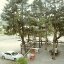 테라행정사사무소 이미지