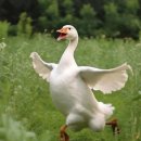 주주 노래타운 이미지