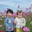 코스모스 어린이집 이미지