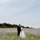 제주몰빵 | W_10. 제주 웨딩스냅 너나울스냅 촬영 후기